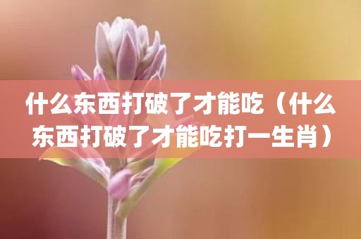什么东西打破了才能吃（什么东西打破了才能吃打一生肖）
