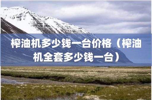 榨油机多少钱一台价格（榨油机全套多少钱一台）
