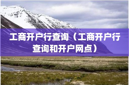 工商开户行查询（工商开户行查询和开户网点）