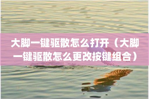 大脚一键驱散怎么打开（大脚一键驱散怎么更改按键组合）