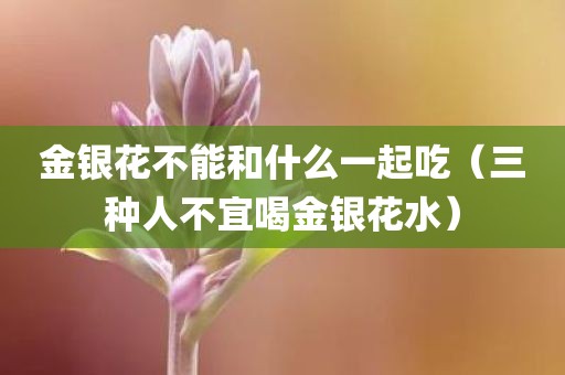 金银花不能和什么一起吃（三种人不宜喝金银花水）