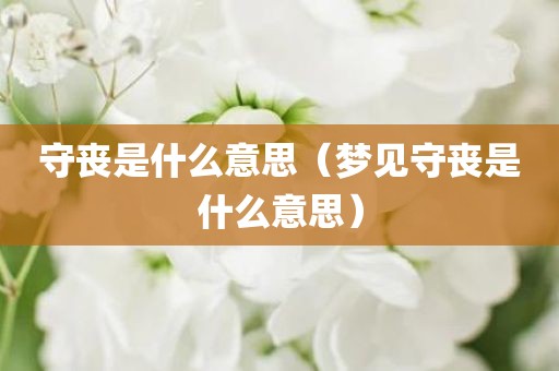 守丧是什么意思（梦见守丧是什么意思）