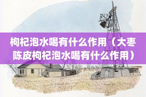 枸杞泡水喝有什么作用（大枣陈皮枸杞泡水喝有什么作用）