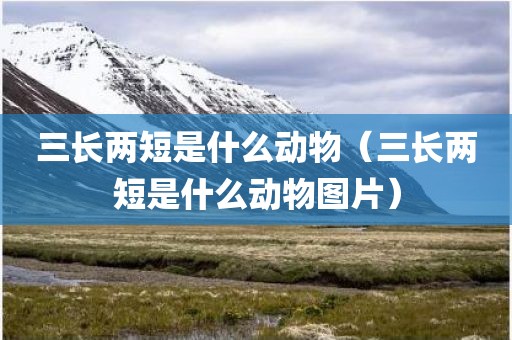三长两短是什么动物（三长两短是什么动物图片）