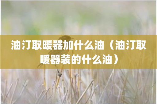 油汀取暖器加什么油(油汀取暖器装的什么油) 油汀取暖器加什么油(油汀取暖器装的什么油)