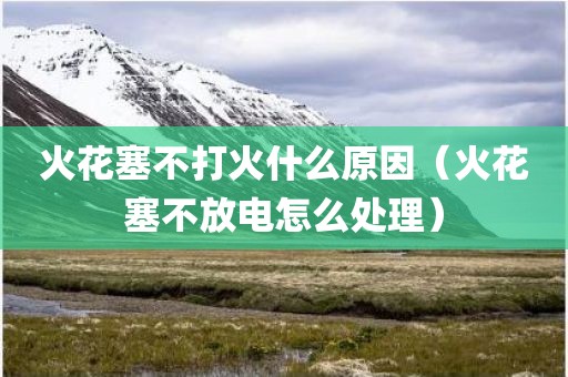 火花塞不打火什么原因（火花塞不放电怎么处理）