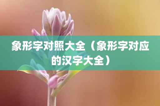 象形字对照大全（象形字对应的汉字大全）