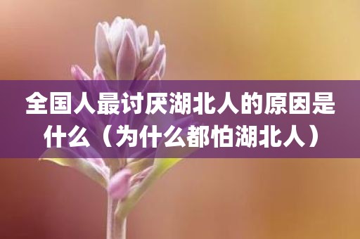 全国人最讨厌湖北人的原因是什么（为什么都怕湖北人）
