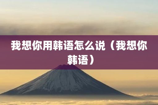 我想你用韩语怎么说（我想你 韩语）