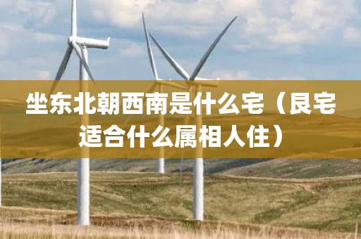 坐东北朝西南是什么宅（艮宅适合什么属相人住）