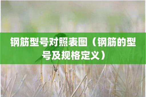 钢筋型号对照表图（钢筋的型号及规格定义）
