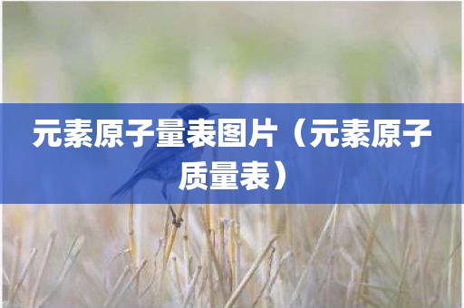 元素原子量表图片（元素原子质量表）