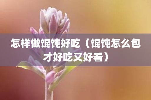 怎样做馄饨好吃（馄饨怎么包才好吃又好看）