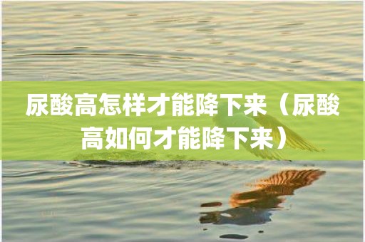 尿酸高怎样才能降下来（尿酸高如何才能降下来）