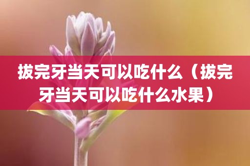拔完牙当天可以吃什么（拔完牙当天可以吃什么水果）