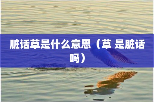脏话草是什么意思（草 是脏话吗）