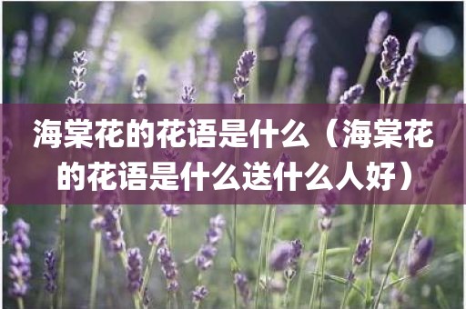 海棠花的花语是什么（海棠花的花语是什么送什么人好）