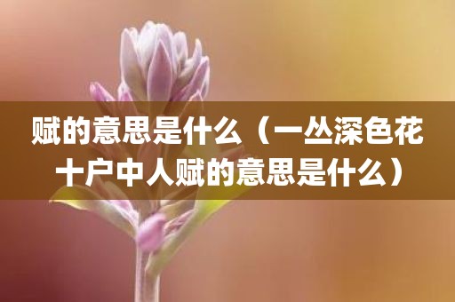 赋的意思是什么（一丛深色花十户中人赋的意思是什么）