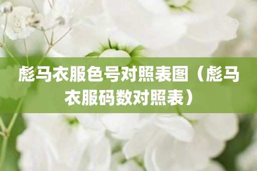 彪马衣服色号对照表图（彪马衣服码数对照表）