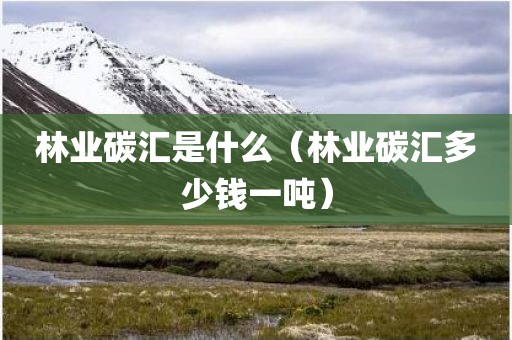 林业碳汇是什么（林业碳汇多少钱一吨）