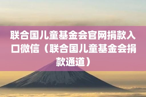 联合国儿童基金会官网捐款入口微信（联合国儿童基金会捐款通道）