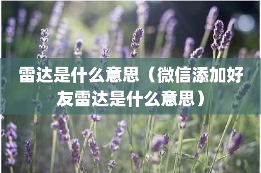 雷达是什么意思（微信添加好友雷达是什么意思）