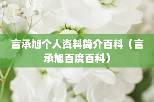 言承旭个人资料简介百科（言承旭百度百科）