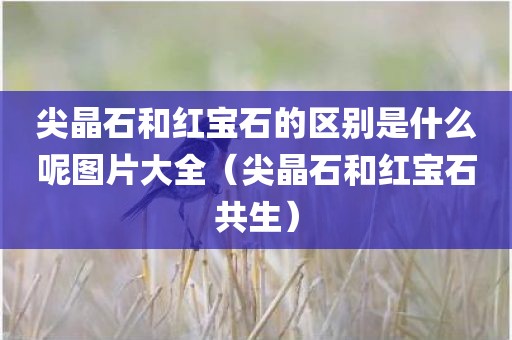 尖晶石和红宝石的区别是什么呢图片大全（尖晶石和红宝石共生）