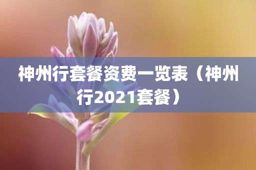 神州行套餐资费一览表(神州行2021套餐)