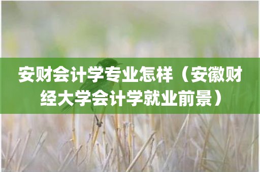 安财会计学专业怎样（安徽财经大学会计学就业前景）