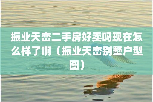 振业天峦二手房好卖吗现在怎么样了啊（振业天峦别墅户型图）