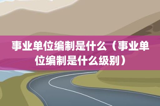 事业单位编制是什么（事业单位编制是什么级别）
