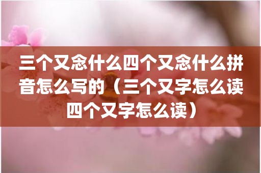 三个又念什么四个又念什么拼音怎么写的（三个又字怎么读四个又字怎么读）