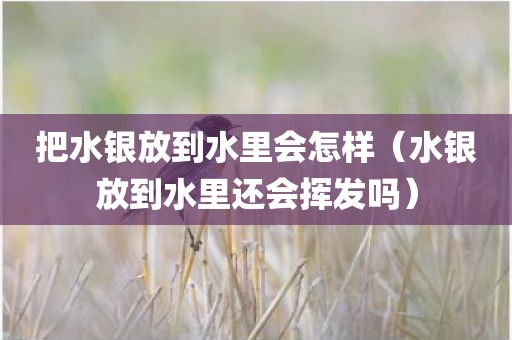 把水银放到水里会怎样（水银放到水里还会挥发吗）