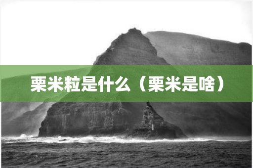 栗米粒是什么(栗米是啥)