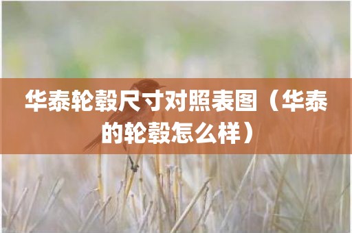 华泰轮毂尺寸对照表图（华泰的轮毂怎么样）