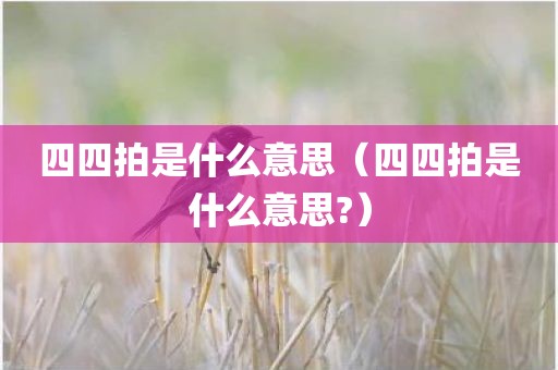 四四拍是什么意思（四四拍是什么意思?）