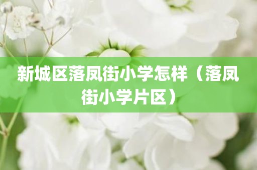 新城区落凤街小学怎样（落凤街小学片区）