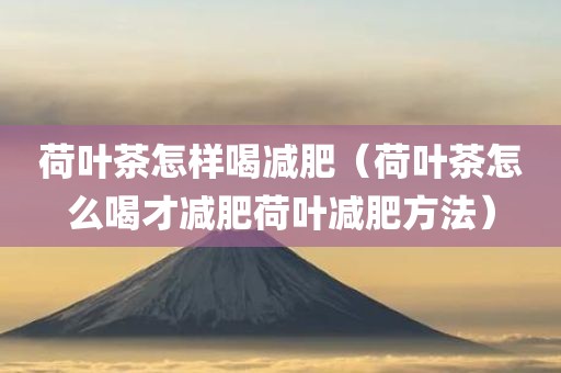 荷叶茶怎样喝减肥（荷叶茶怎么喝才减肥荷叶减肥方法）