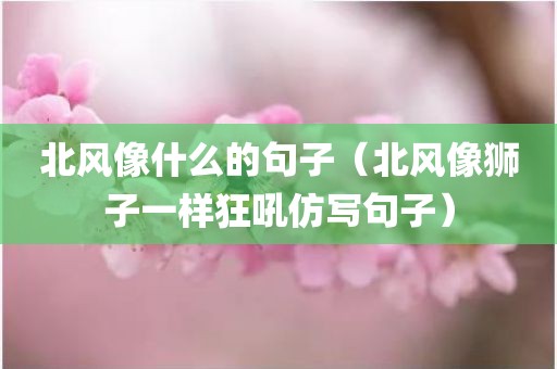 北风像什么的句子(北风像狮子一样狂吼仿写句子)