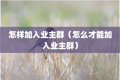 怎样加入业主群（怎么才能加入业主群）
