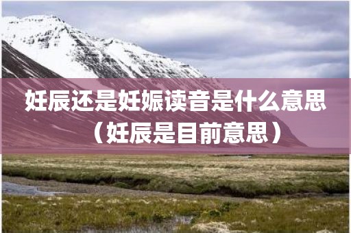 妊辰还是妊娠读音是什么意思（妊辰是目前意思）