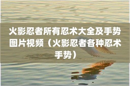 火影忍者所有忍术大全及手势图片视频（火影忍者各种忍术手势）