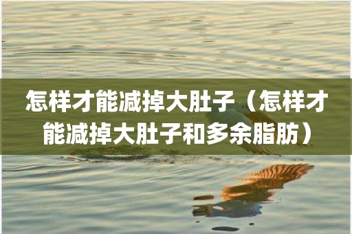 怎样才能减掉大肚子（怎样才能减掉大肚子和多余脂肪）