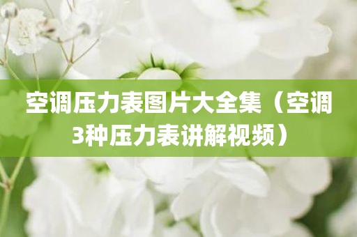 空调压力表图片大全集（空调3种压力表讲解视频）