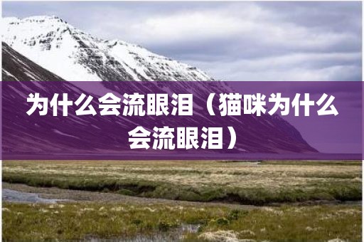 为什么会流眼泪（猫咪为什么会流眼泪）