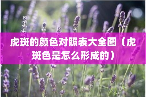 虎斑的颜色对照表大全图（虎斑色是怎么形成的）
