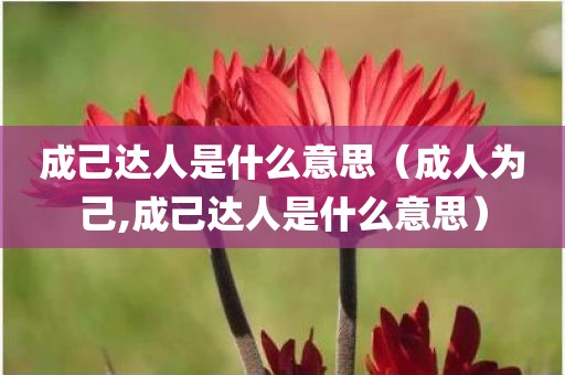 成己达人是什么意思（成人为己,成己达人是什么意思）