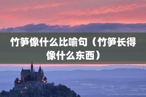 竹笋像什么比喻句（竹笋长得像什么东西）
