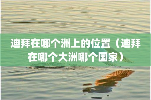 迪拜在哪个洲上的位置（迪拜在哪个大洲哪个国家）